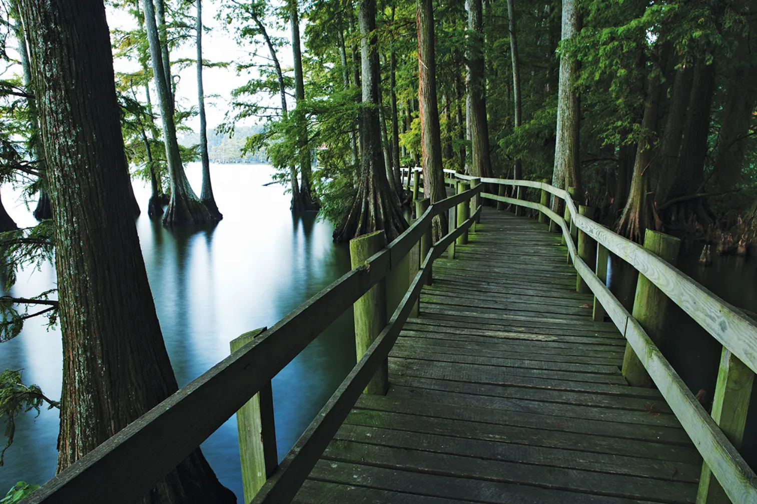 Expert Spray Foam Insulation Contractor in Dyersburg, TN