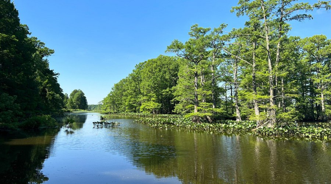 Premier Spray Foam Insulation Services in Clinton, KY Premier Spray Foam Insulation Services in Clinton, KY