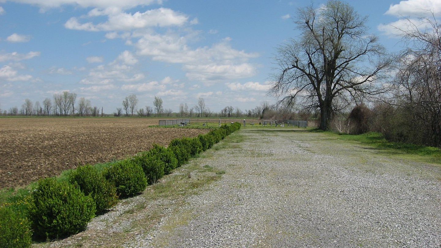 Premier Spray Foam Insulation Services in Clinton, KY Premier Spray Foam Insulation Services in Clinton, KY