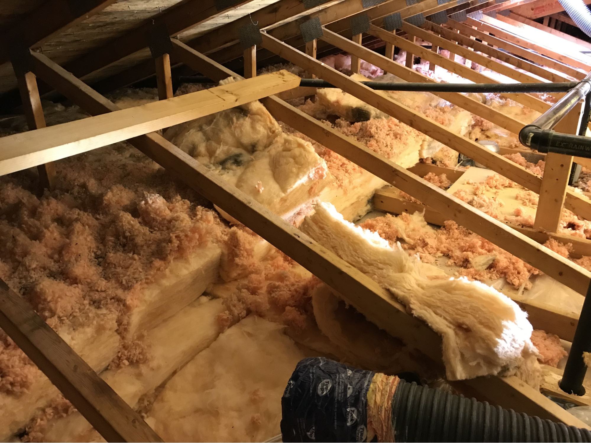 Why Professional Insulation Removal Matters