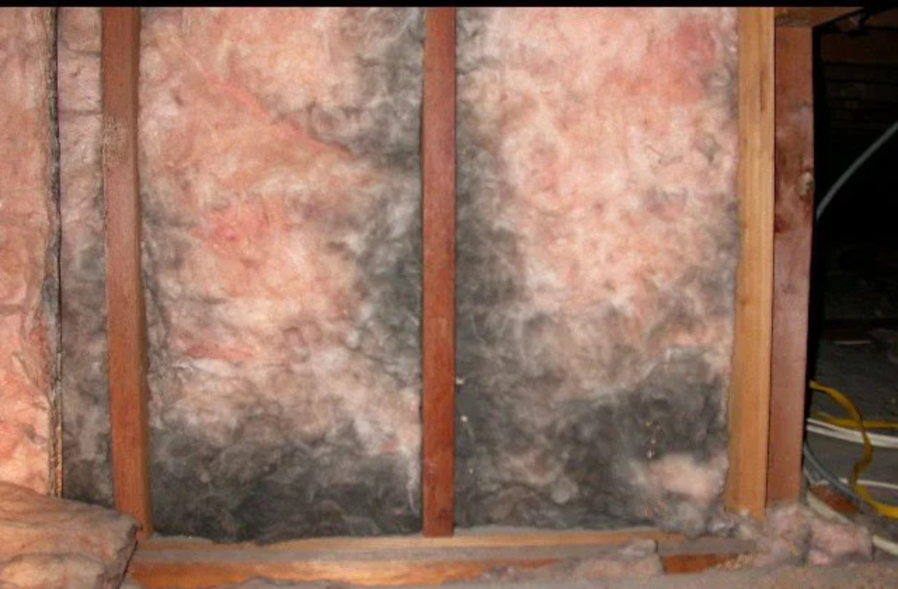 What Happens When Insulation Gets Wet?