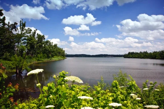 Westview High School Sports Complex