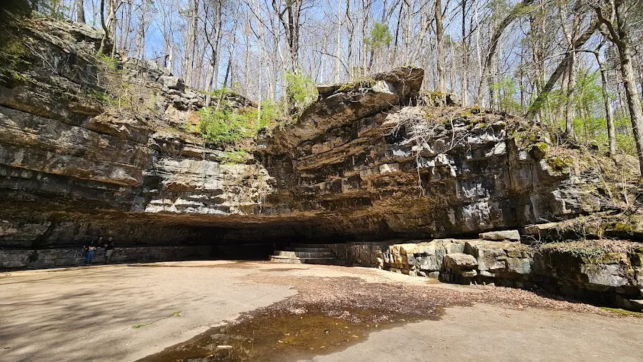 University of Tennessee at Martin