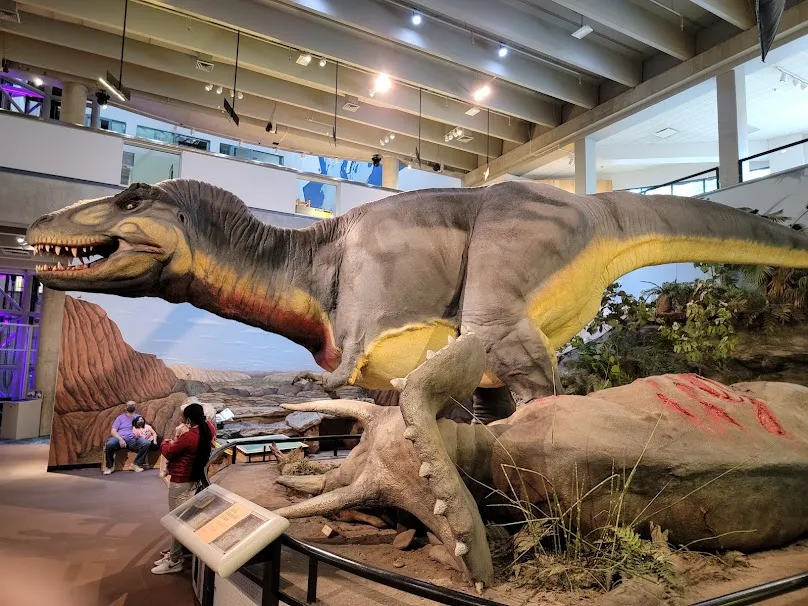 CE Weldon Public Library