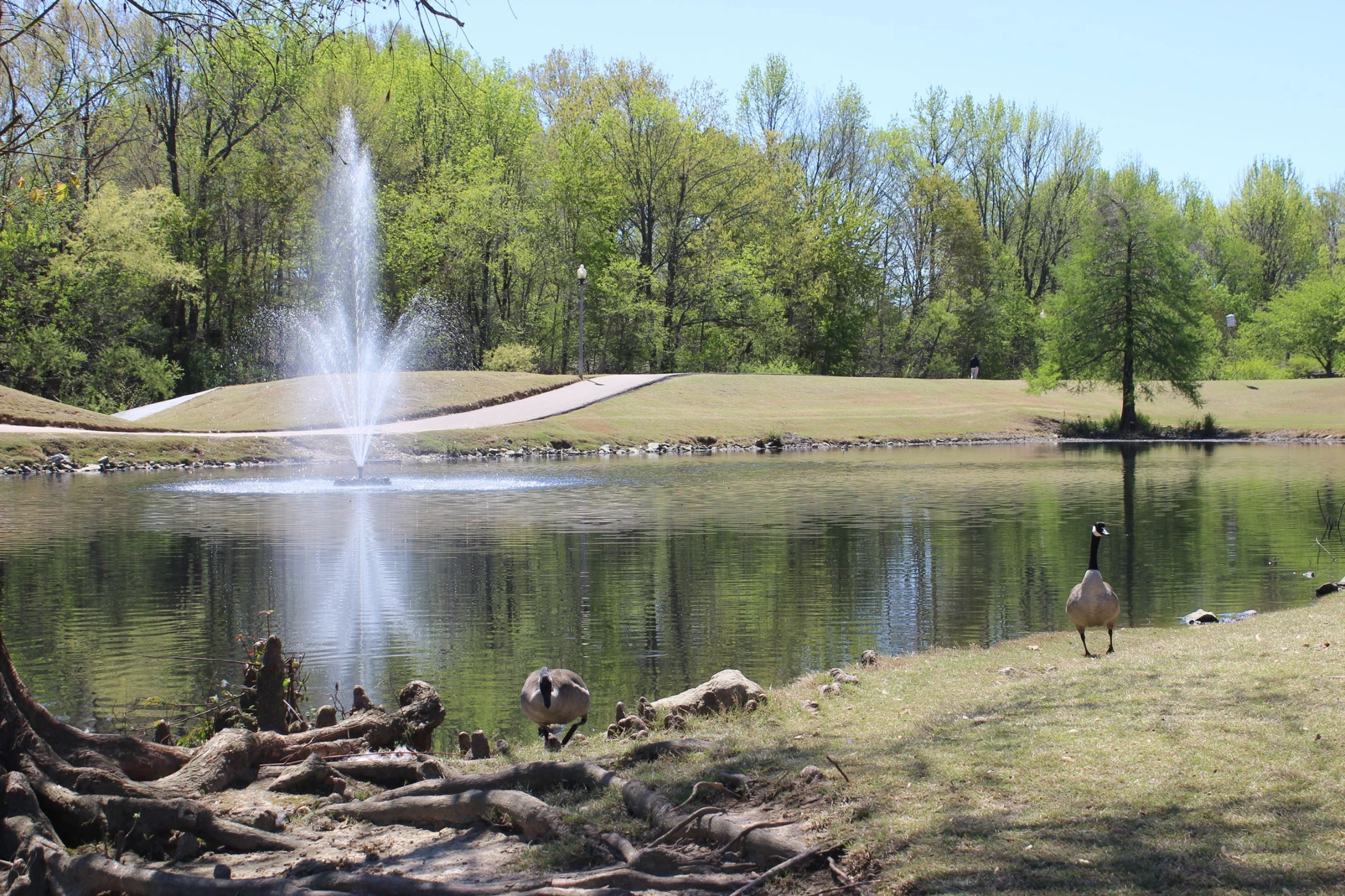 CE Weldon Public Library
